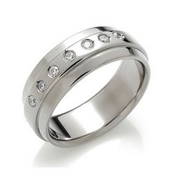 Titanium Ring