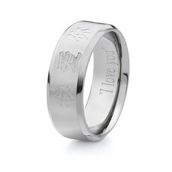 Titanium Ring