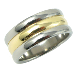 Gold Inlay Titanium Ring